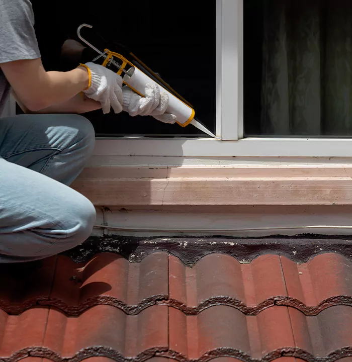 Roof Window Services in San Rafael, California