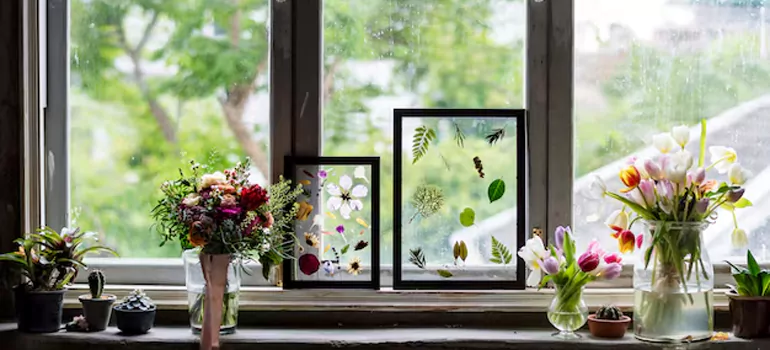 Professional Garden Window Repair in San Rafael, CA