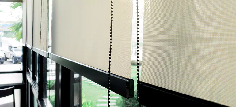 Blackout Window Shades in San Rafael, CA