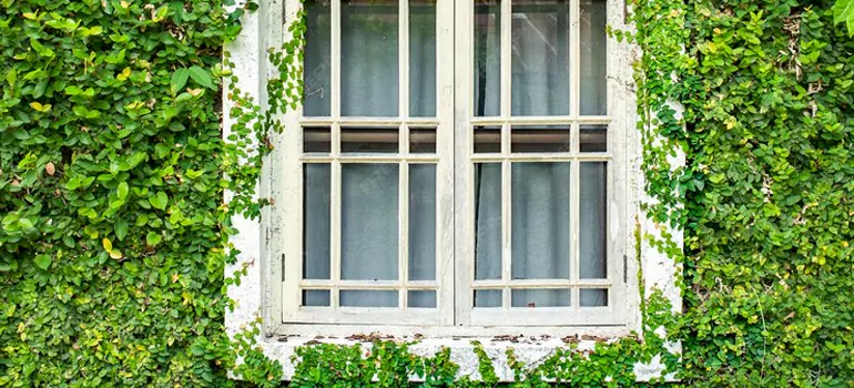Garden Window Repair Near Me in San Rafael, CA