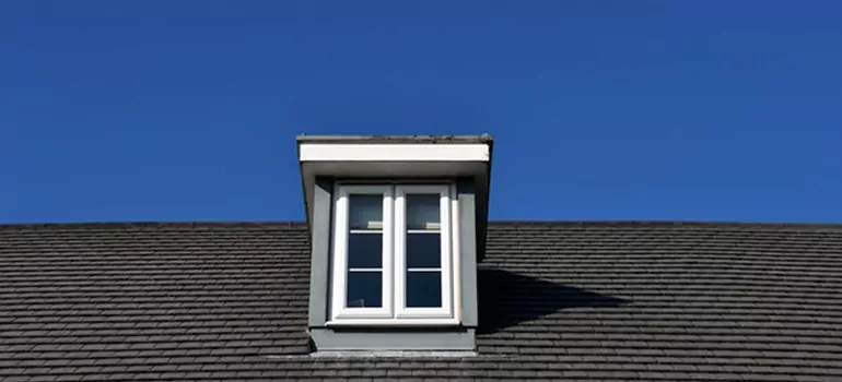 Roof Window Installation in San Rafael, CA