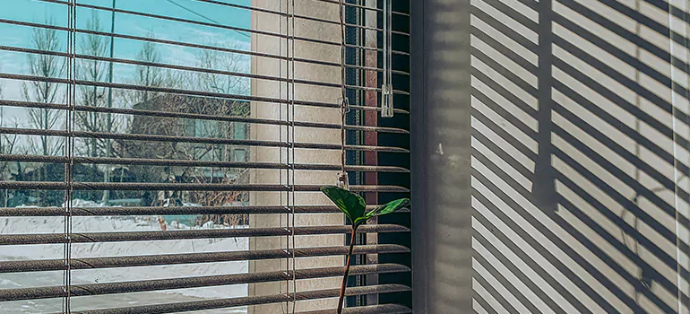 Commercial Window Blinds in San Rafael, CA