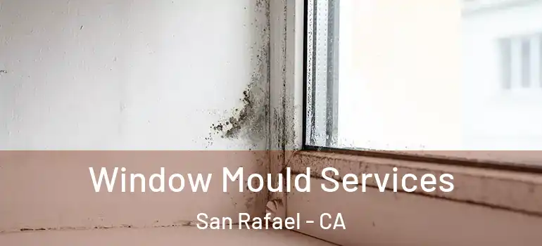  Window Mould Services San Rafael - CA
